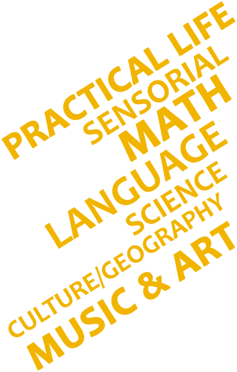 Practical Life Sensorial Math Language Science Culture/Geography Music & Art